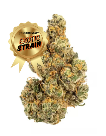 9lb Hammer - THCa Flower