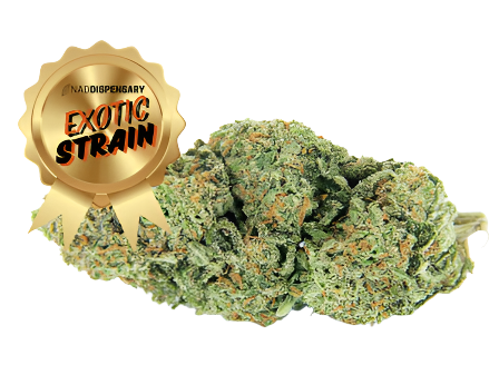Blue Dream Pie - THCa Flower