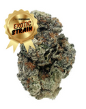 Gruntz - THCa Flower