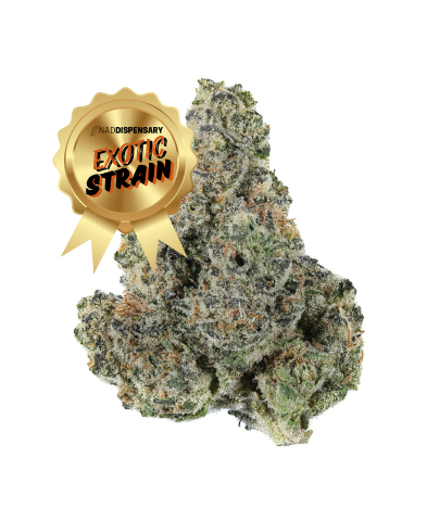 Nuclear Slurpee - THCa Flower