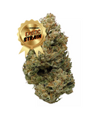 Pineapple Express - THCa Flower