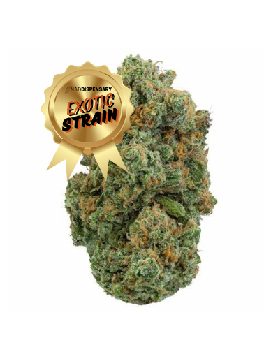 Sativa Diva - THCa Flower