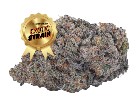 Sherbet - THCa Flower