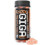 Giga Bytes 15,000MG