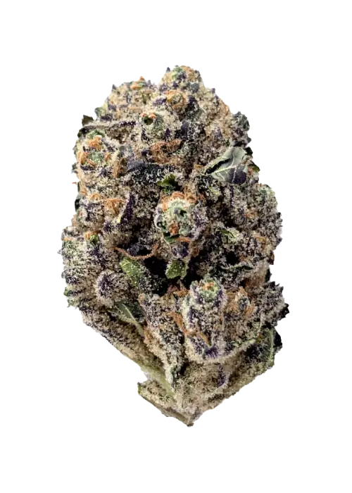 Purple Ring Pop - THCa Flower