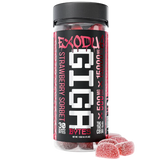 Giga Bytes 15,000MG