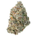WHAM! by Lil Baby 3.5G