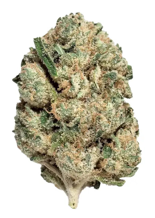 White Cherry Gelato - THCa Flower