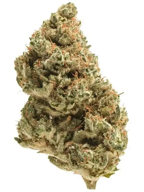 London Pound Cake - THCa Flower