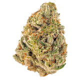 Mule Fuel - THCa Flower