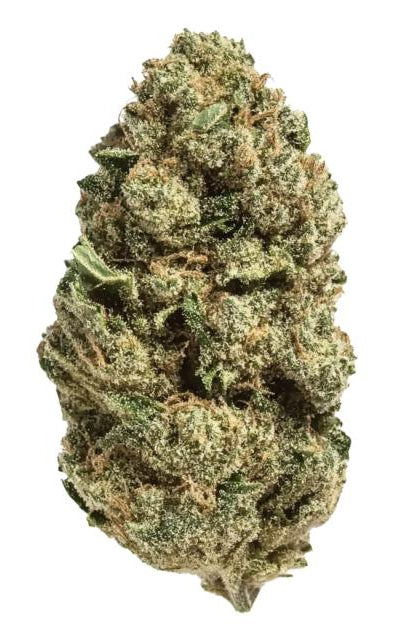 Pink Champagne - THCa Flower