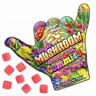 Shaka Sweets Magic Mushroom + Δ9 THC